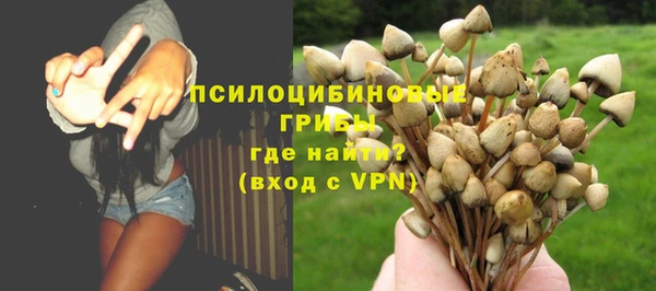 ECSTASY Абаза